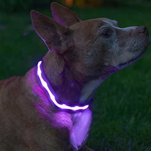 "Light Up Your Dog's Night with Blazin LED Collar!" UTECHPIA